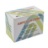 Western Medicine, Ampicillin Capsule