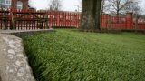 Swimming Pool Surrounds Fake Grass, Artificial Turf (MD300)