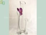 Clear Glass Vase(HJ0073)