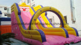 Inflatable Dry Slide (JSL-07)