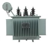 Oil Immersed Three Phase Power Transformer