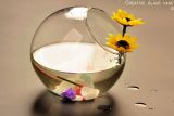 Creative Oblique Opening Transparent Glass Vase, Glass Fish Bowl