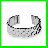 2012 Stainless Steel Fashion Bracelet Jewellery (TPSBE274)