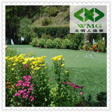 Grass Carpet for Golf Field