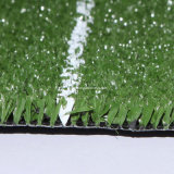 Mulit Purpose Artificial Grass (DSL-GPE20)