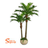 2015 Home Decoration Artificial Coconut Bonsai Palm Tree