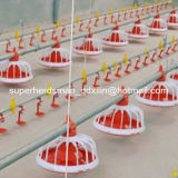 Full Set Automatic Poultry House Equipment for Broiler Rearing