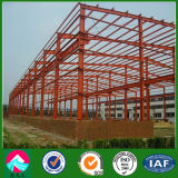 Painted Light Steel Structure Building (XGZ-SSB125)