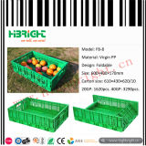 Plastic Vegetable Fruit Foldable Crate for Farm