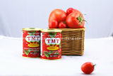 Tmt Brand Tomato Paste From Hebei Tomato in China