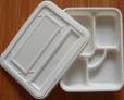 Biodegradable Disposable Tableware - 3