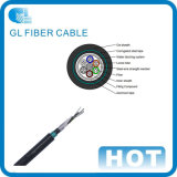 Optical Fiber Cable (GYTY53)