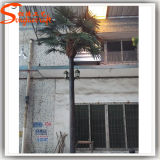 Outdoor Decorative 20f Artificial LED Decorative Palm Tree