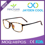 2015 New Tr Optical Frame and Simple Style Optical Frame