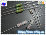 Rxf Wirewound Fusible Resistor with ISO9001