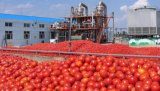 Different Capacity Tomato Paste Production Machine