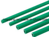 PPR Pipe for Cold and Hot Water Two Layers Available