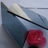 Building Glass/Tinted Float Glass (ETTG045)