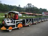 Fwulong Tourist Trackless Electric Train with 8PCS Free Battery for Sale