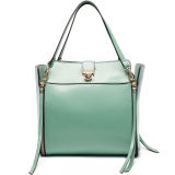 Genuine Leather Bags Good Quality Ladies Handbags Designer Handbags (S754-A2991)