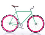Double Butted 4130 Cr-Mo Single Speed Bicycle