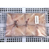 Frozen Illex Argentinus Squid Wing (skin on)