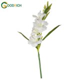 High Quality Cymbidium Artificial Flower in Various Colours