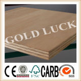 3mm Bintangor Faced Commercial Plywood for Packing Grade