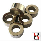 Different Plating Strong Powerful Permanent Neodymium Ring Magnet for Speaker