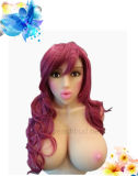 Life Like Silicone Sexual Female Doll