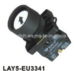 Protection Spring Return Pushbutton Switch