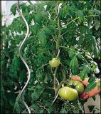 Tomato Spirals Plant Support