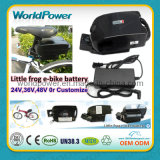 Electric Bike Rechargeable Battery Pack (WP-SF-36900)