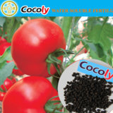 Cocoly Fertilizer Granular Water Soluble Fertilizer in Plant Food