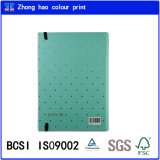 Professional Custom PU Leather Hardcover Paper Diary Notebook