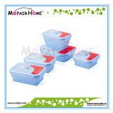Microwave Safe Collapsible Silicone Bowls (FD002)