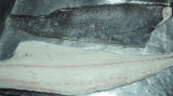 Frozen Oilfish (Ruvettus Pretiosus)