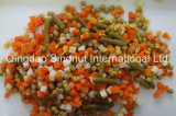 Canned Mixed Vegetables (5 kinds vegetables mixed HACCP ISO BRC)