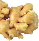 Ginger Root P. E. (Zingiber officinale)