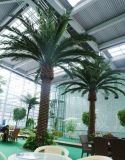 Artificial Date Palm Tree Decor Plant with UV (China Wholesale)