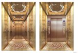 Luxury Passenger Elevator with CE Approve