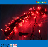 Christmas Tree Lights LED Fairy String AC Decoration