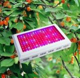 300watt LED Grow Light 288*1W LED Panel LED Grow Lamp for Flower, Tomato, Potato, Vegetable or Other Plant in Greenhouse