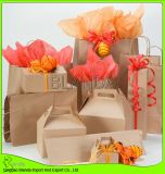 Recyclable Printed Kraft Paper Shopping Bag/Food Box
