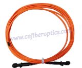 Fiber Optic Patch Cable (MTRJ-MTRJ)