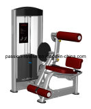 Abdominal Commercial Fitness/Gym Equipment with SGS