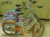 New Lateast Designed Lady Bike/Bicycle Sb-034