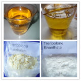 Parabolan Anabolic Steroids Trenbolone Cyclohexylmethylcarbonate for Muscle Enhancing