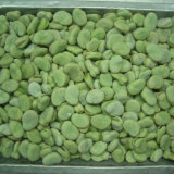 High Quality New Season IQF Frozen Vegetables Broad Beans