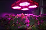 Professional Manufacturer 300W LED Grow Light with Full Spectrum